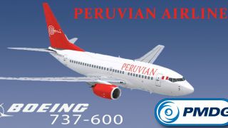 Screenshot 4 — Peruvian Airlines Boeing 737-600