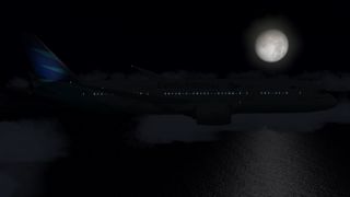 Screenshot 4 — Garuda Indonesia Boeing 787-800 PK-GAA