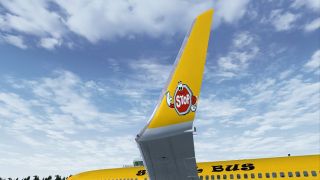 Screenshot 3 — Schoolbus Boeing 737-900 WL