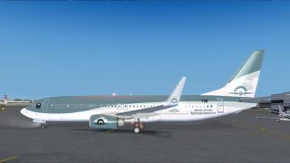 Screenshot 1 — FlightSimulatorNetwork Boeing 737-800