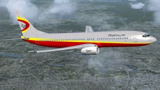 Screenshot 1 — Platinum Airways B737-800