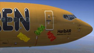 Screenshot 11 — TUIfly Boeing 737-8K5 D-ATUD