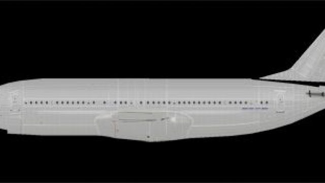 Screenshot 1 — Default Boeing 737 Paint Kit
