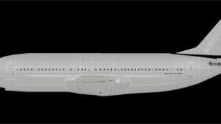Screenshot 1 — Default Boeing 737 Paint Kit