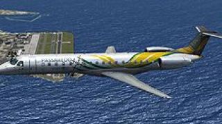 Screenshot 3 — Privilege Style (Air Europa) Embraer 145