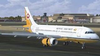 Screenshot 3 — Royal Brunei Airlines Airbus A319-132