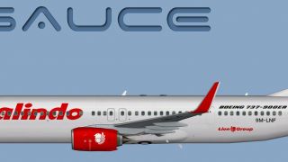 Screenshot 1 — Malindo Air Boeing 737-900W 9M-LNF