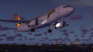 Screenshot 2 — Tiger Airways Airbus A320-200