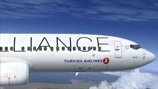 Screenshot 6 — Turkish Airlines Boeing 737-8F2 NGX