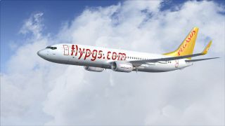 Screenshot 8 — Pegasus Airlines Boeing 737-800 NGX TC-CPE
