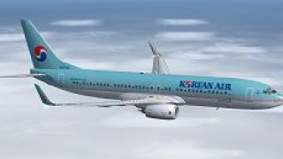 Screenshot 4 — Korean Air Lines Boeing 737-8Q8(WL)