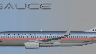 Screenshot 1 — American Airlines Boeing 737-800W N951AA