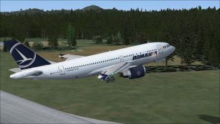 Screenshot 5 — Tarom Airbus A310-300 YR-LCB