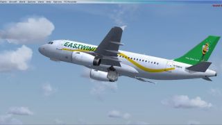 Screenshot 1 — EastWind VA Airbus A319-100