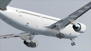 Screenshot 17 — Airbus A300-600 White Textures