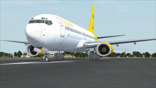 Screenshot 9 — Tropicana Boeing 737-800