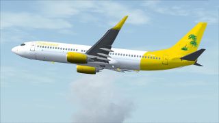 Screenshot 17 — Tropicana Boeing 737-800