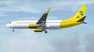 Screenshot 15 — Tropicana Boeing 737-800