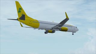 Screenshot 21 — Tropicana Boeing 737-800