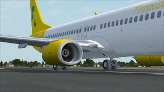 Screenshot 10 — Tropicana Boeing 737-800