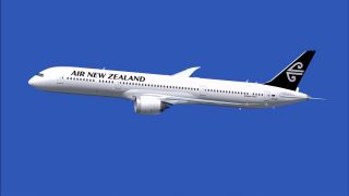 Screenshot 4 — Air New Zealand Boeing 787-9 V4