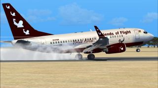 Screenshot 4 — Friends of Flight Boeing 737-700