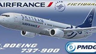 Screenshot 6 — SkyTeam Air France Boeing 737-900