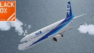 Screenshot 2 — All Nippon Airways Airbus A320