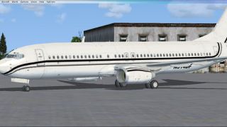 Screenshot 4 — Five Private Liveries For Default Boeing 737