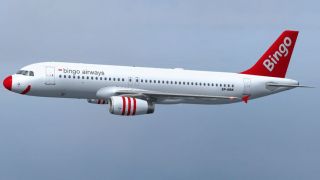 Screenshot 3 — Bingo Airways Airbus A320-233