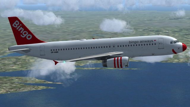 Screenshot 1 — Bingo Airways Airbus A320-233