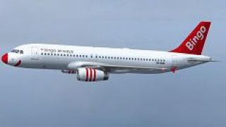Screenshot 4 — Bingo Airways Airbus A320-233