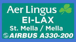Screenshot 7 — Aer Lingus Airbus A330-200 Fleet