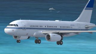 Screenshot 3 — Cayman Islands Government Airbus A319-115X CJ