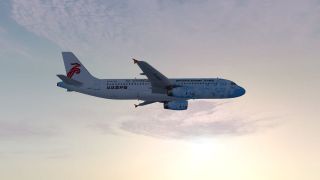 Screenshot 5 — Shenzhen Airlines A320 Universiade Series