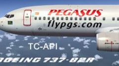 Screenshot 7 — Pegasus Airlines Boeing 737-82R
