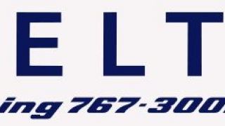 Screenshot 8 — Delta And Alitalia Skyteam Boeing 767-300ER