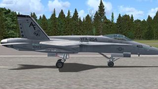 Screenshot 1 — USAF F-18 VFA-204