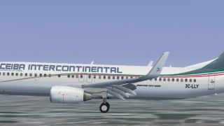 Screenshot 4 — Ceiba International Boeing 737-800W