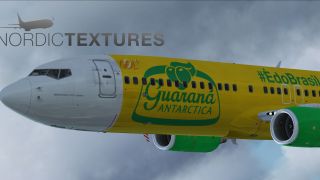 Screenshot 1 — GOL Transportes Boeing 737-800 NGX