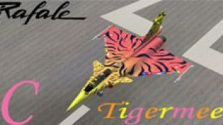 Screenshot 1 — Dassault Rafale M