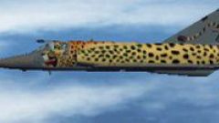 Screenshot 3 — SAAF Atlas Aircraft Cheetah C