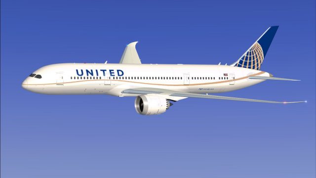 Screenshot 1 — AI United Airlines Boeing 787-8