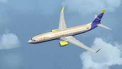 Screenshot 5 — Default Boeing 737-800 Replacement Textures