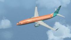 Screenshot 17 — Default Boeing 737-800 Replacement Textures