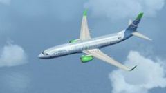 Screenshot 24 — Default Boeing 737-800 Replacement Textures