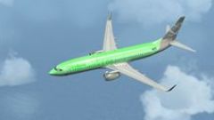 Screenshot 21 — Default Boeing 737-800 Replacement Textures