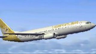 Screenshot 2 — Dogecoin Boeing 737-800
