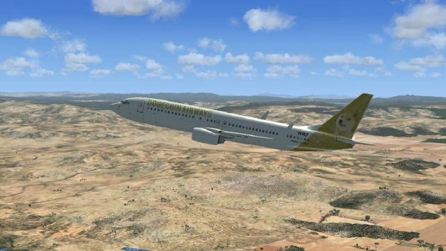 Screenshot 1 — Dogecoin Boeing 737-800