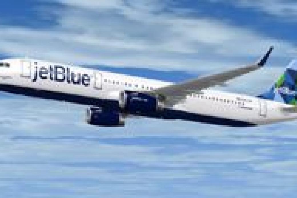 Airbus A321 JetBlue Textures only for FSX